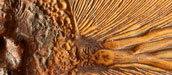 Electrolytic corrosion